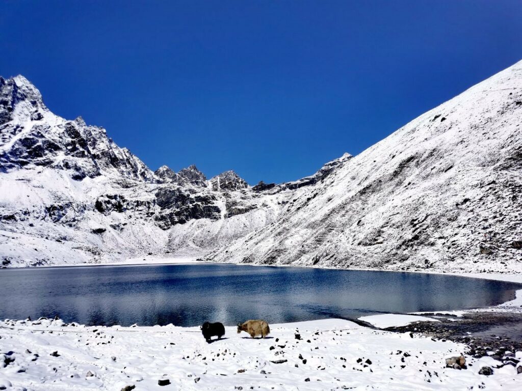 Les lacs de Gokyo, magnifique, soleil, ciel bleu avec montagnes enneigées, Gokyo Lake avec l'Everest Népal