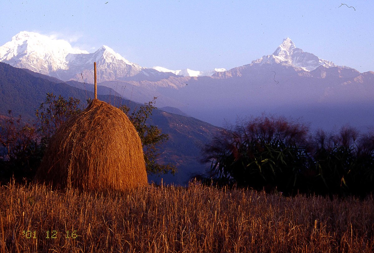 Panchase, trek court depuis Pokhara, facile et accessible aux débutants, partez à l'aventure et à la découverte du Népal avec l'Everest Népal