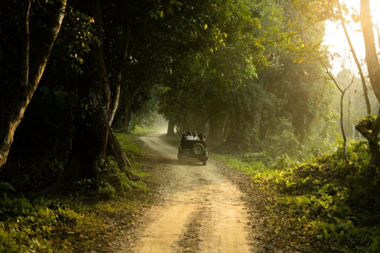 Chitwan national parc, Arrêt des safaris en Jeep à cause de la mousson