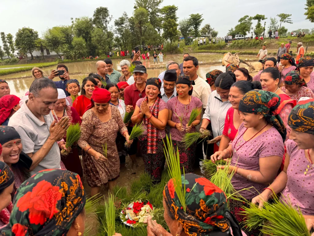 Dashain festival Népal et Katmandou